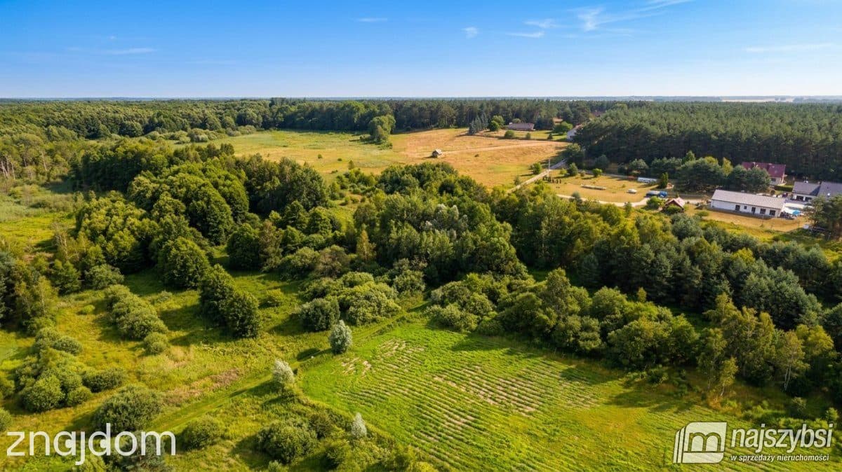 Działka, Bolechowo - zdjęcie 11