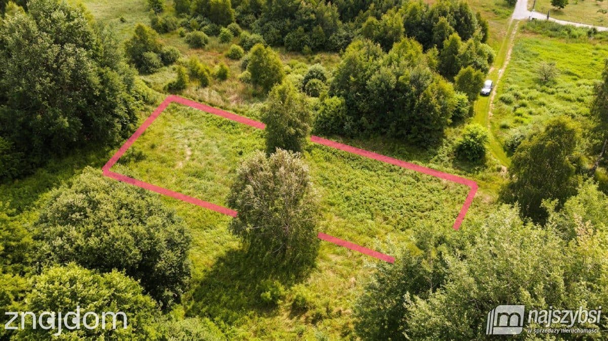Działka, Bolechowo - zdjęcie 2