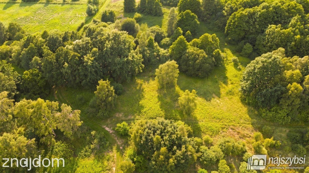 Działka, Bolechowo - zdjęcie 4