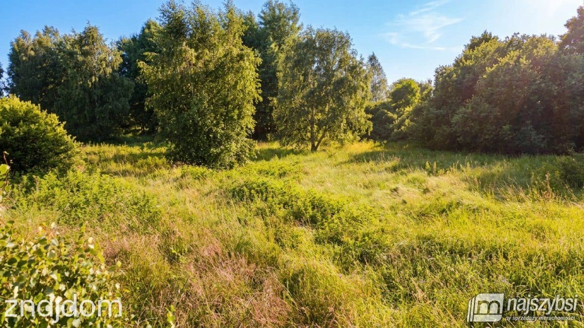 Działka, Bolechowo - zdjęcie 5