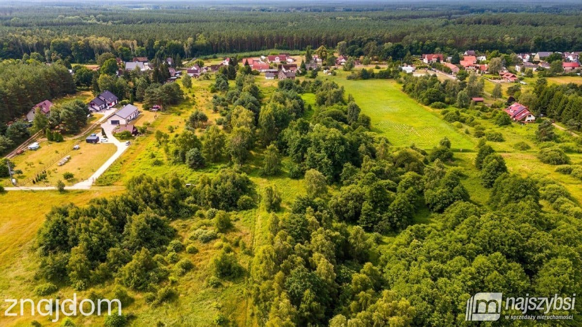 Działka, Bolechowo - zdjęcie 6