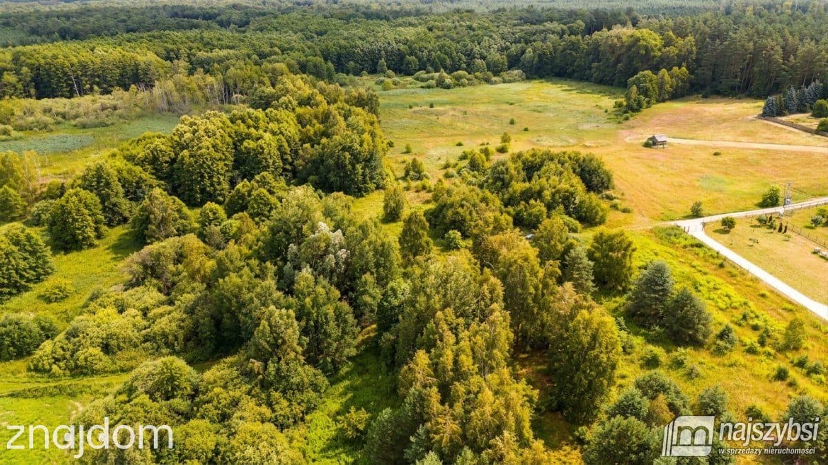 Działka, Bolechowo - zdjęcie 8