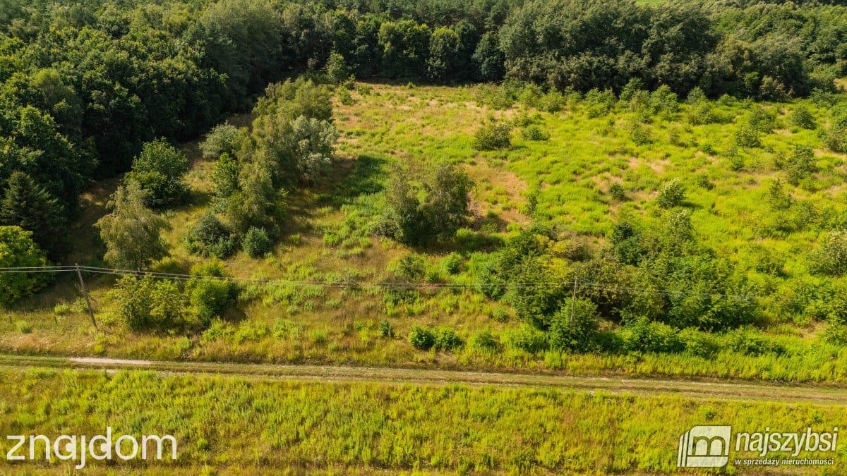 Działka, Marszewo - zdjęcie 12