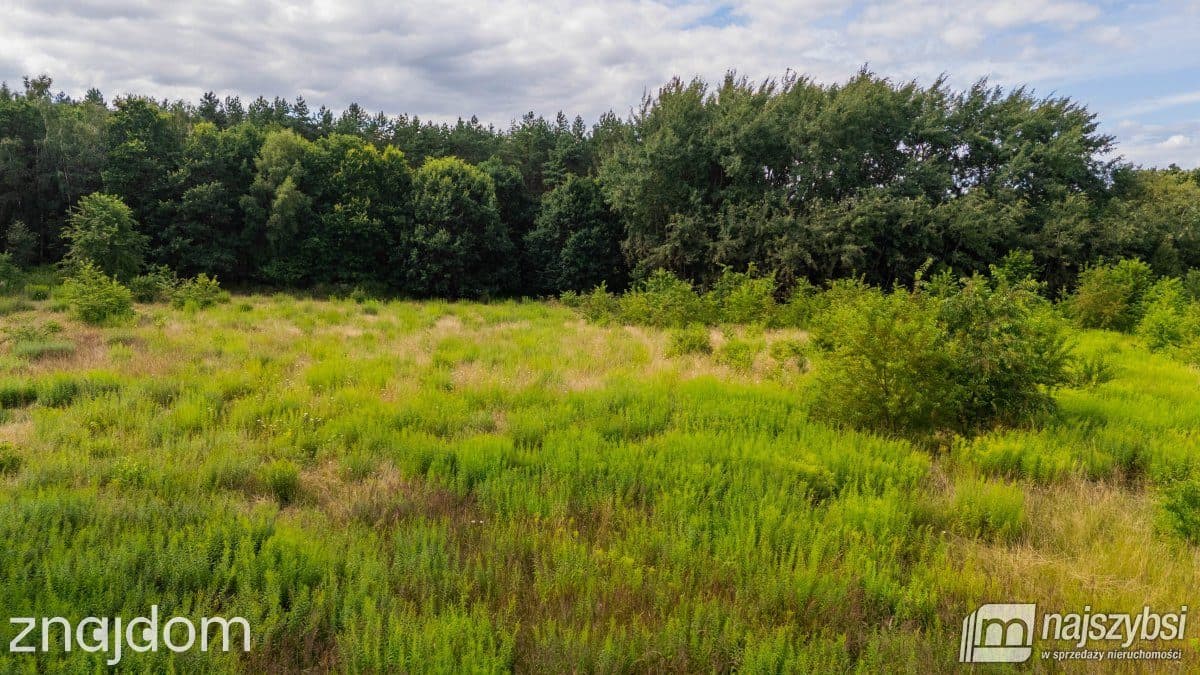 Działka, Marszewo - zdjęcie 16