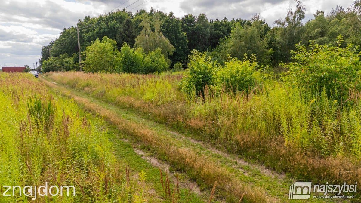 Działka, Marszewo - zdjęcie 3