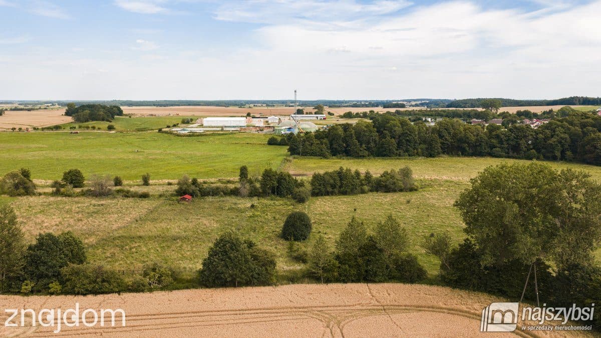 Działka, Sarbia - zdjęcie 13
