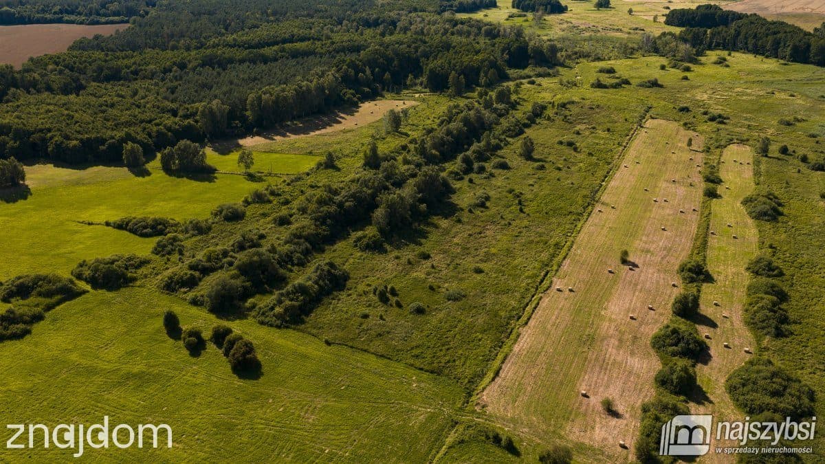 Działka, Danowo - zdjęcie 4