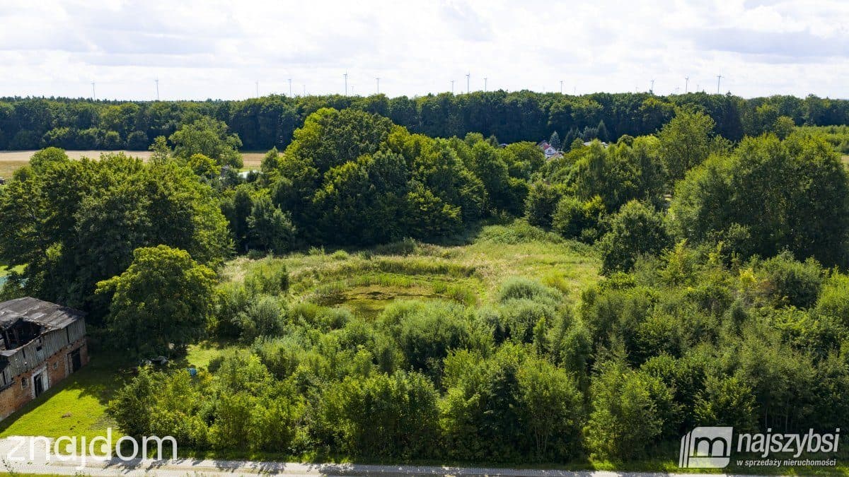 Działka, Smolne - zdjęcie 8