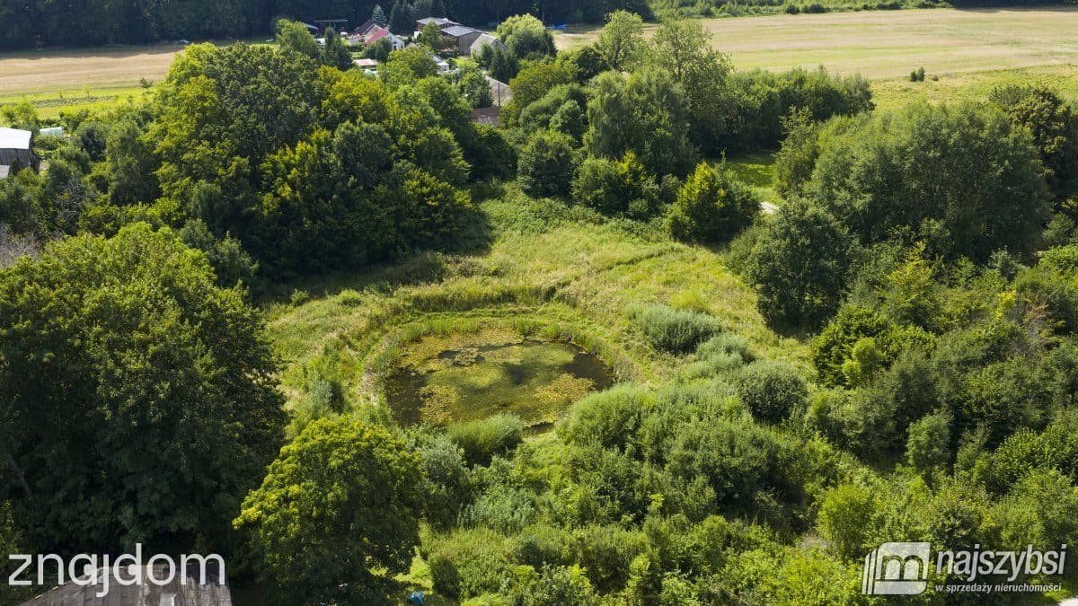 Działka, Smolne - zdjęcie 9