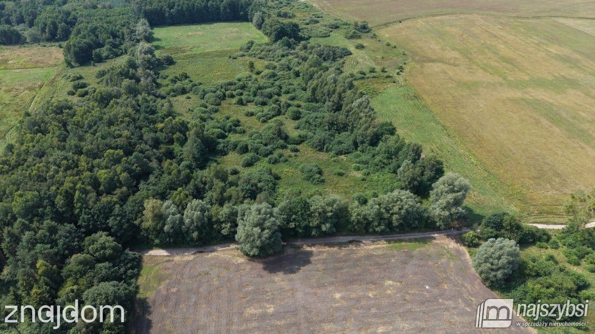 Działka, Sowno - zdjęcie 5