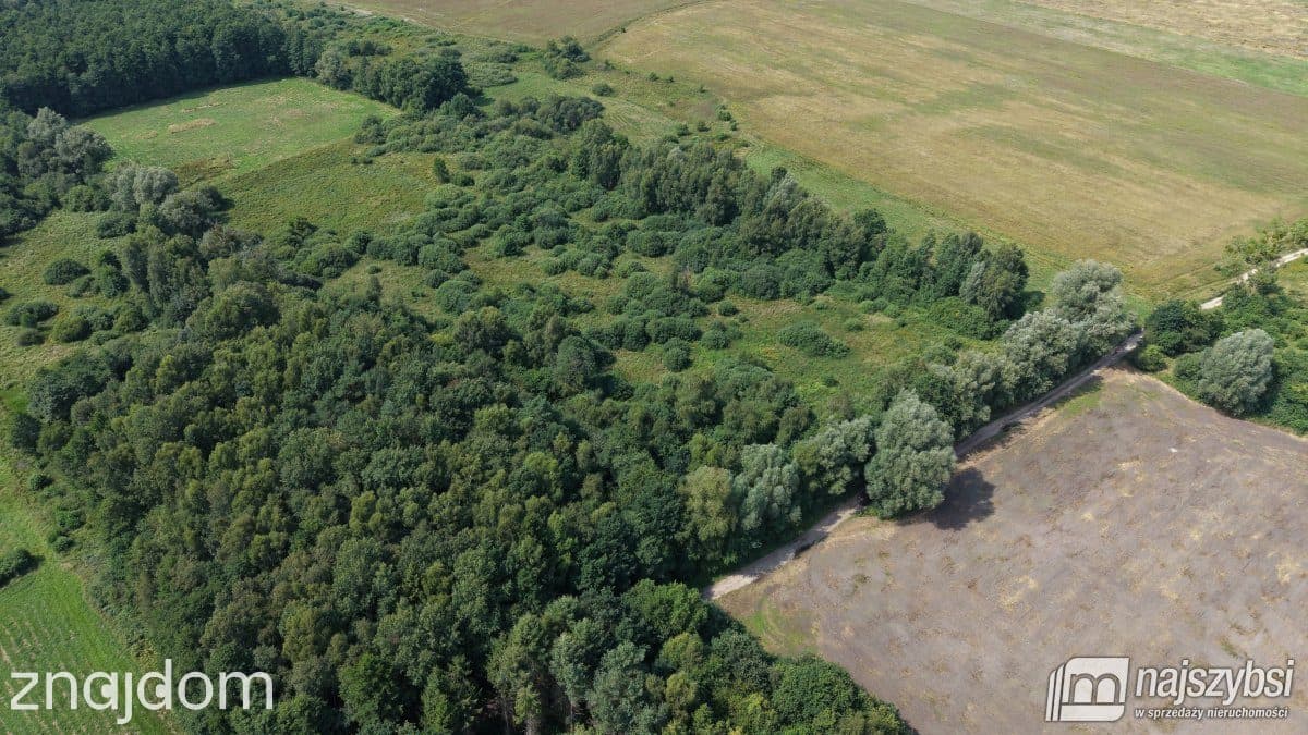 Działka, Sowno - zdjęcie 6