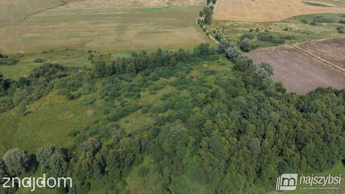 Działka, Sowno - zdjęcie 8