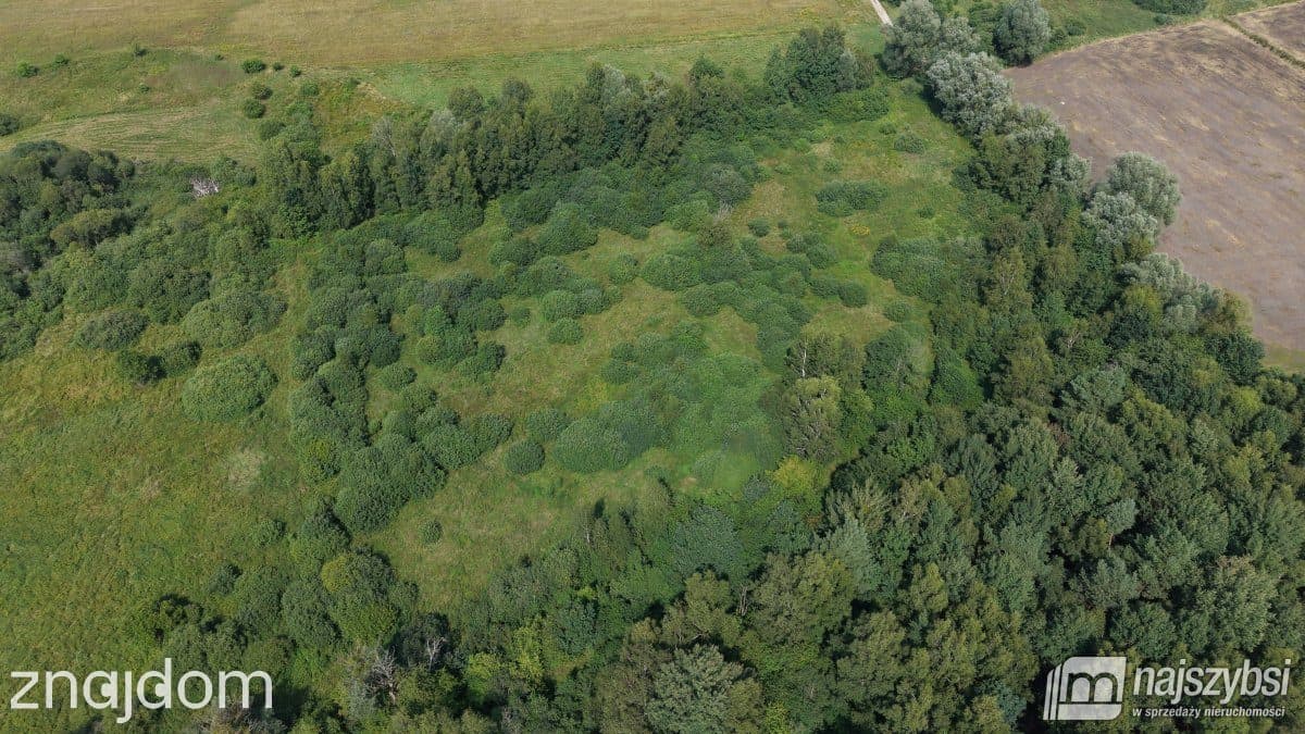 Działka, Sowno - zdjęcie 9