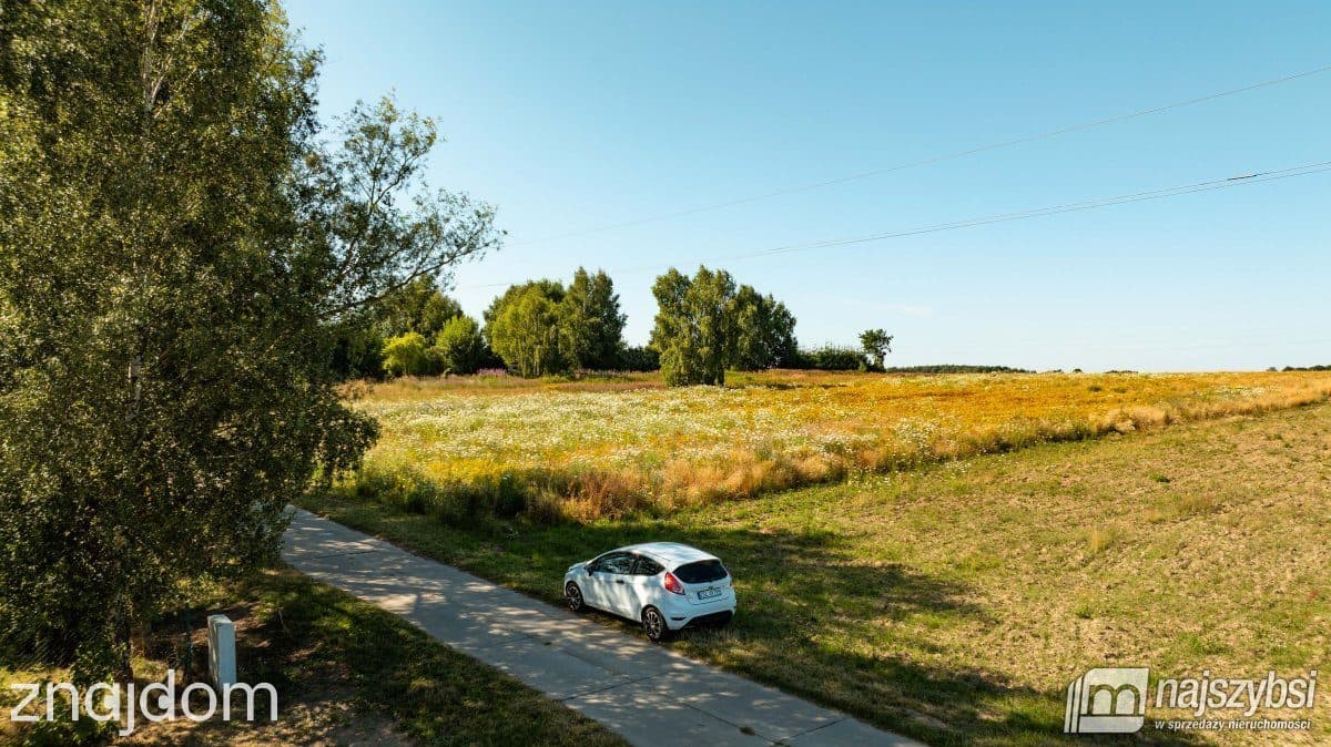 Działka, STARY BOREK - zdjęcie 12