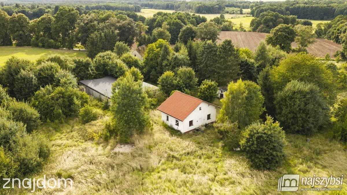 Działka, Sława - zdjęcie 13