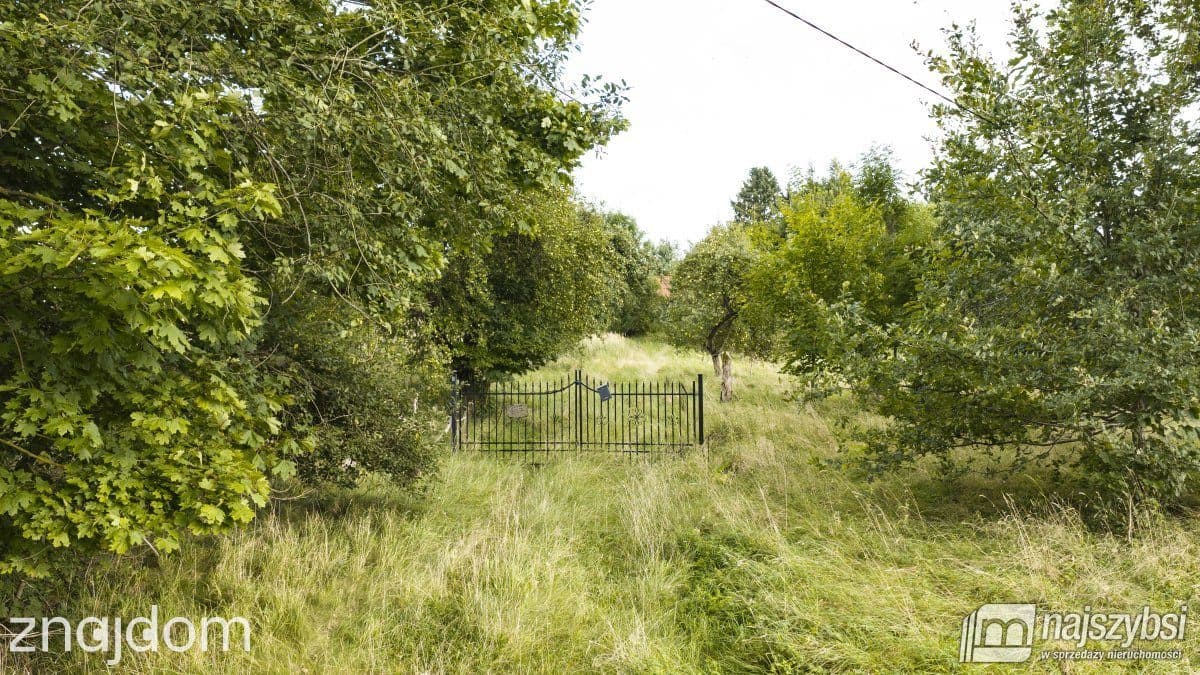 Działka, Sława