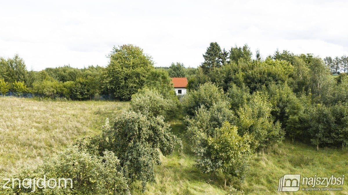 Działka, Sława - zdjęcie 2