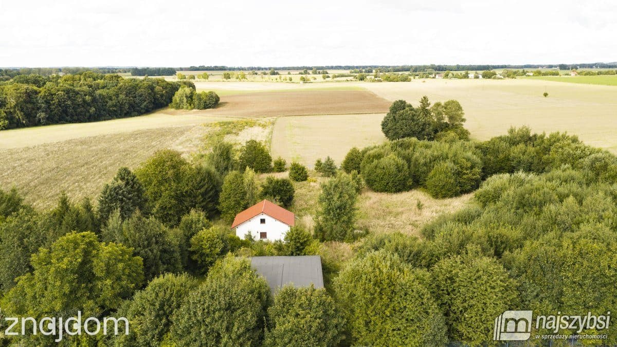 Działka, Sława - zdjęcie 8