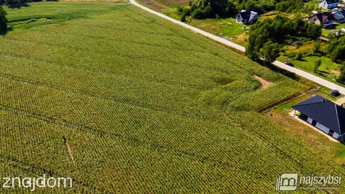 Działka, Podańsko - zdjęcie 18