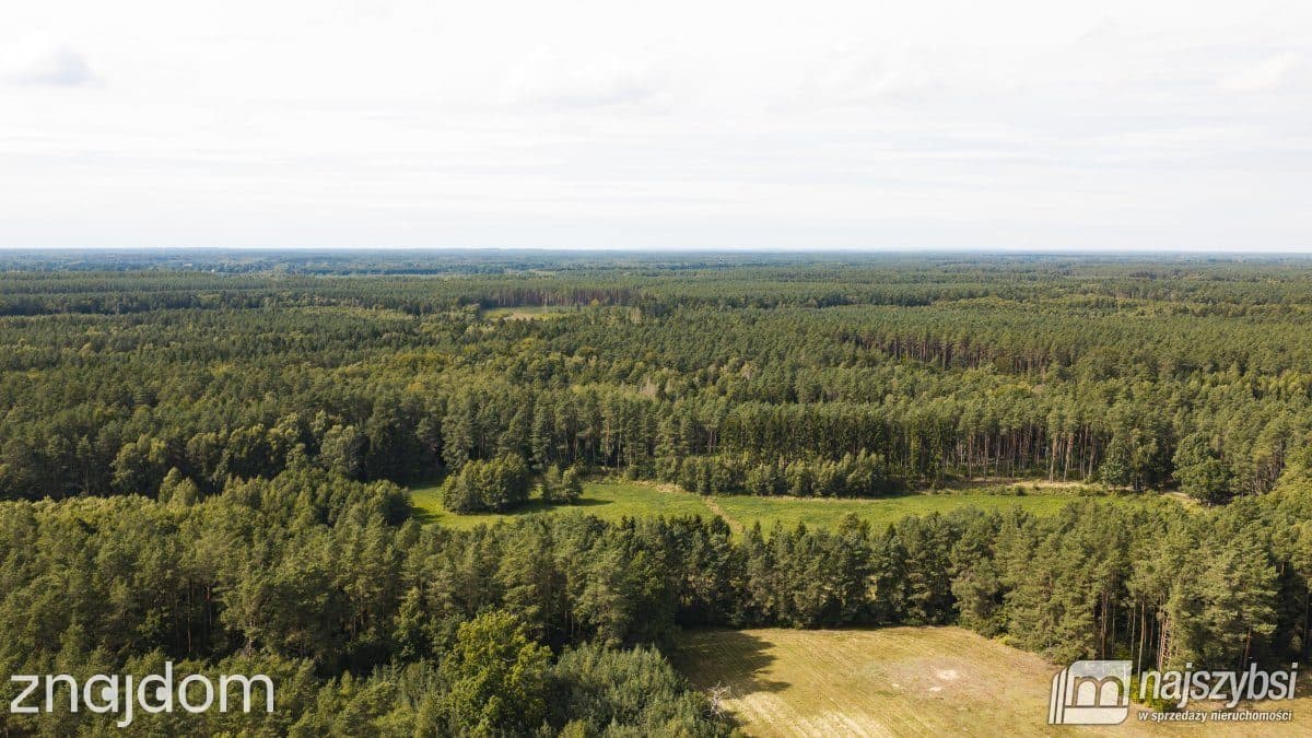 Działka, Czermnica - zdjęcie 12