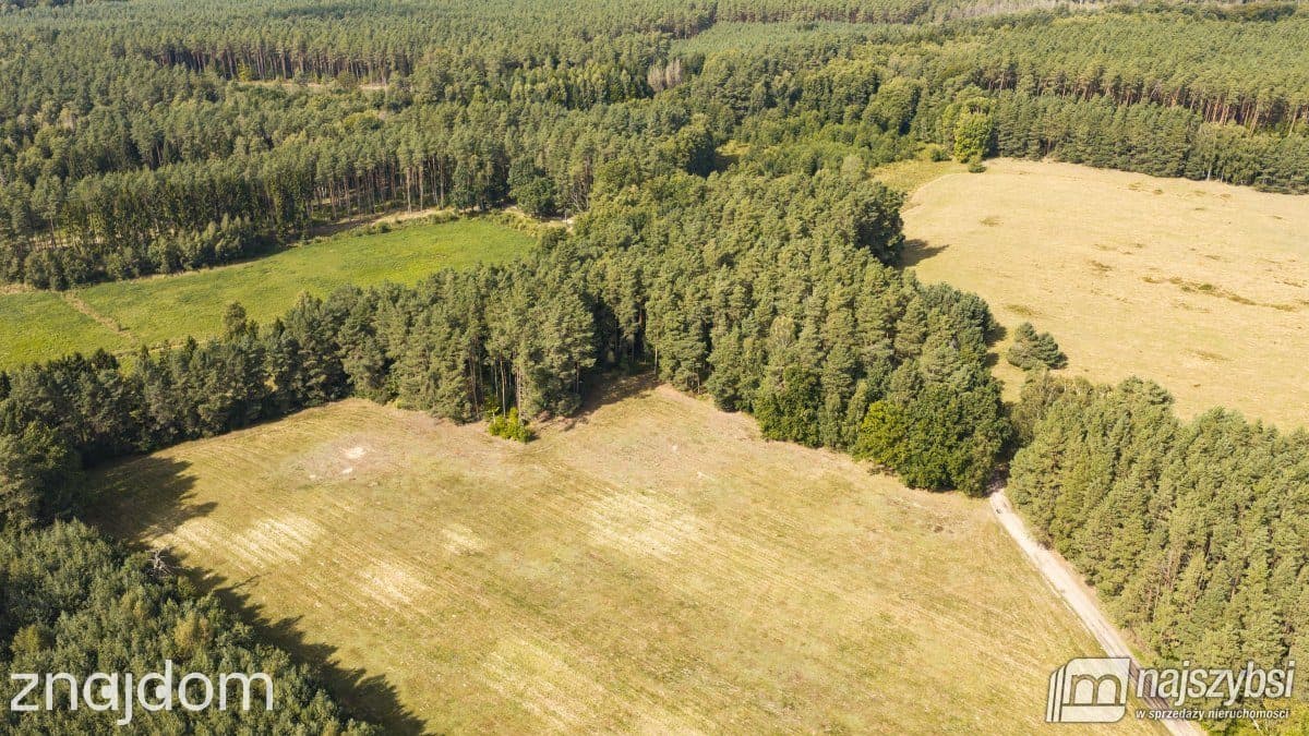 Działka, Czermnica - zdjęcie 15