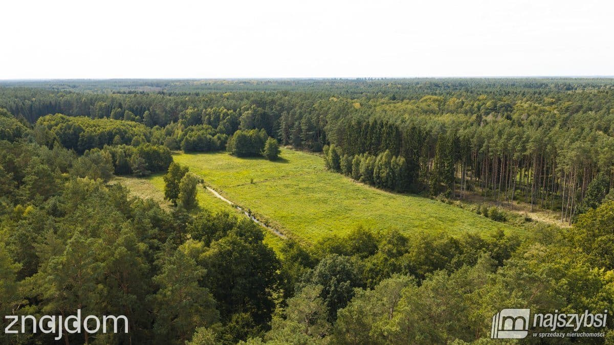 Działka, Czermnica - zdjęcie 2