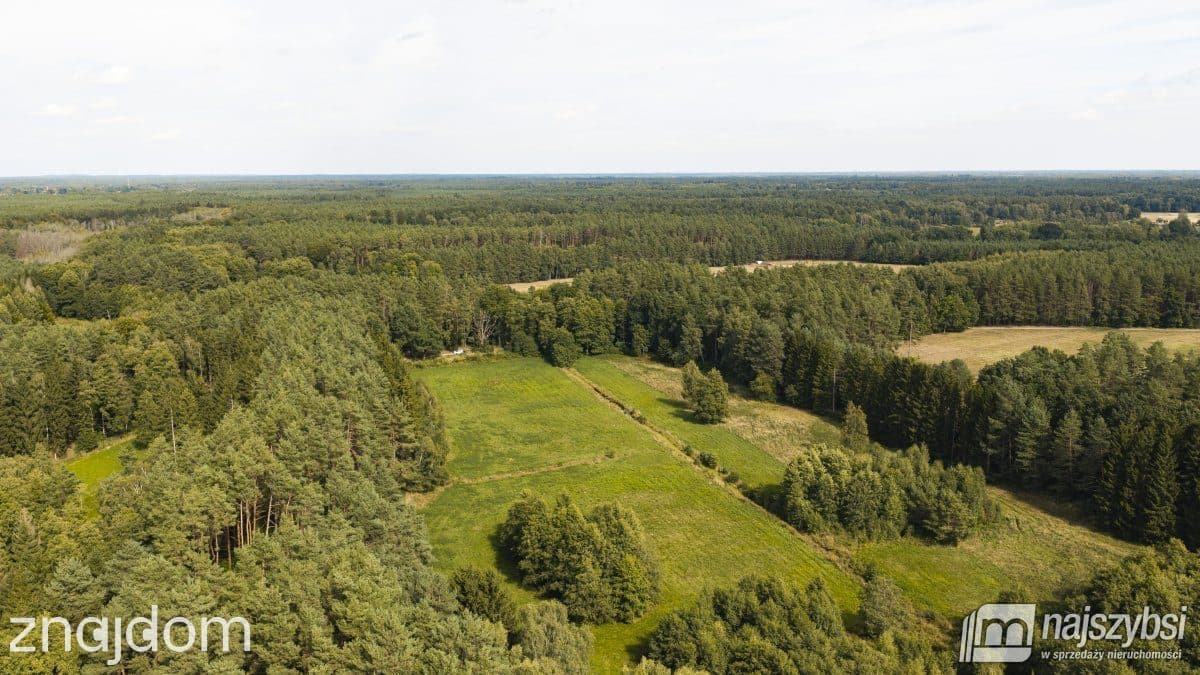 Działka, Czermnica - zdjęcie 6