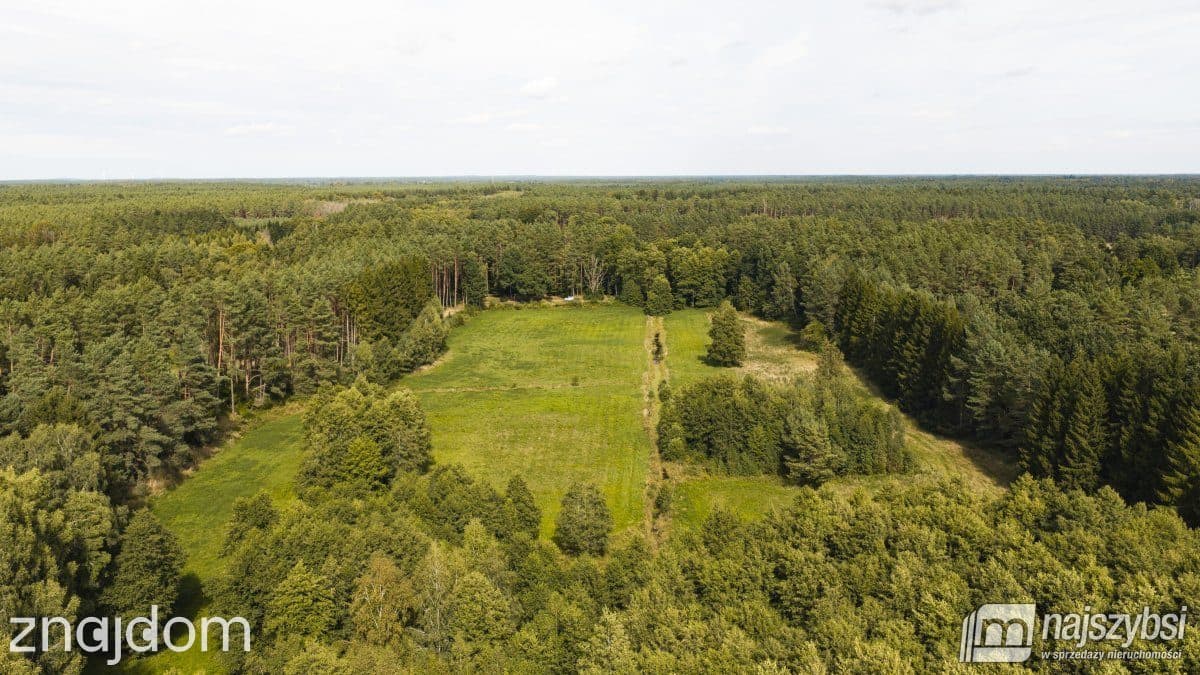 Działka, Czermnica - zdjęcie 9