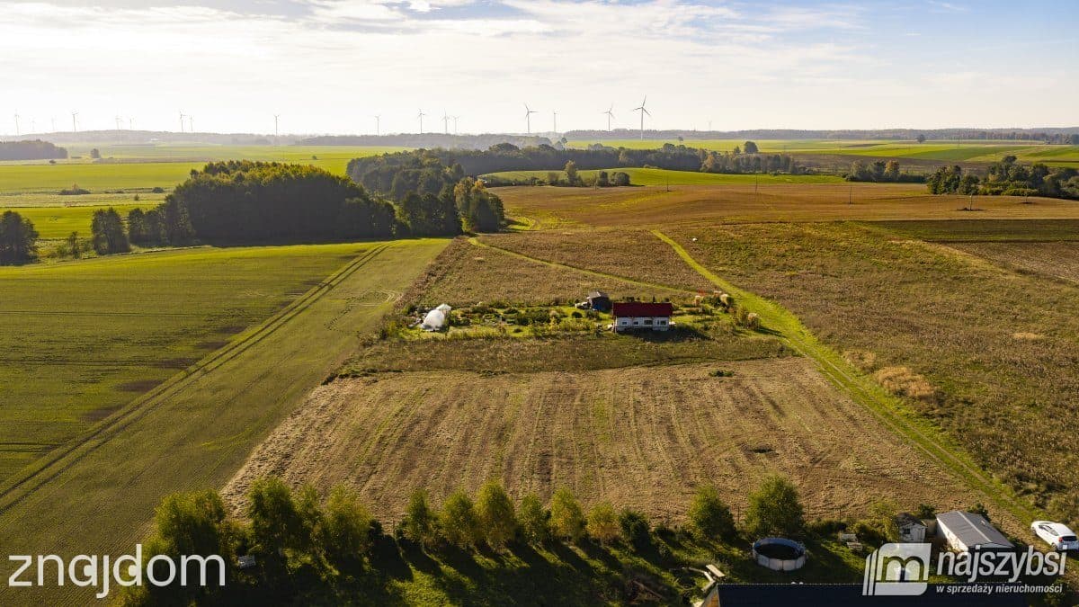 Działka, Czernin - zdjęcie 10