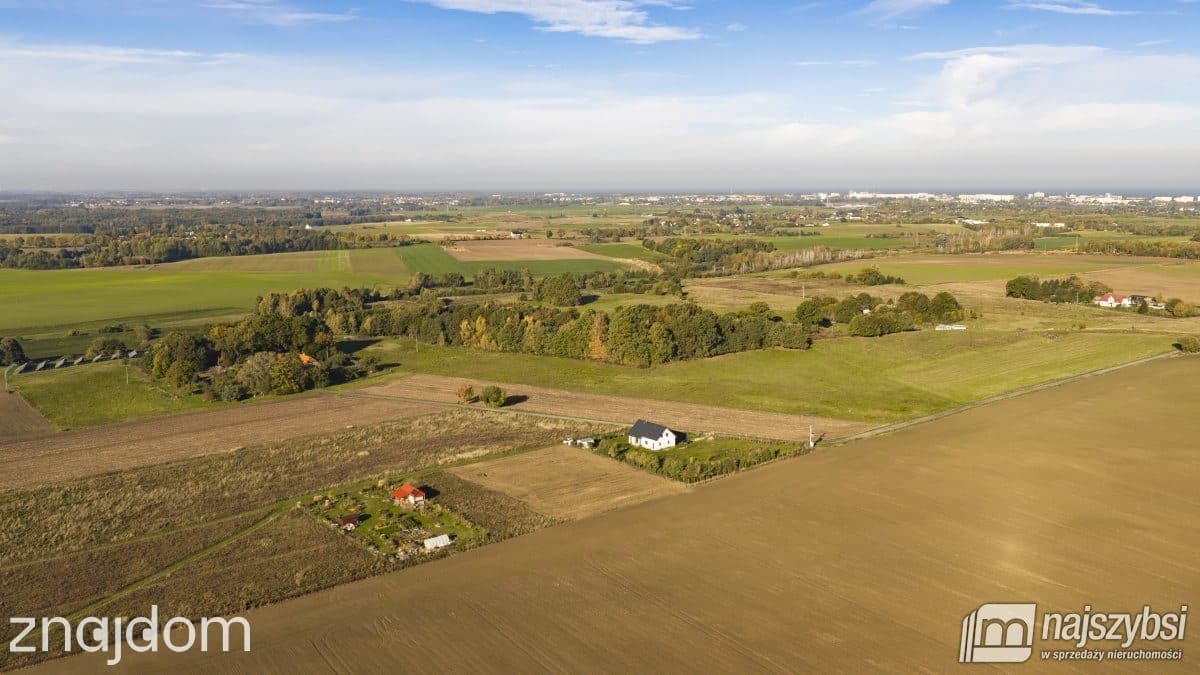 Działka, Czernin - zdjęcie 14