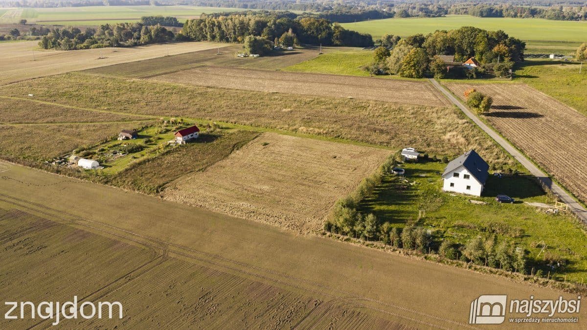 Działka, Czernin - zdjęcie 2