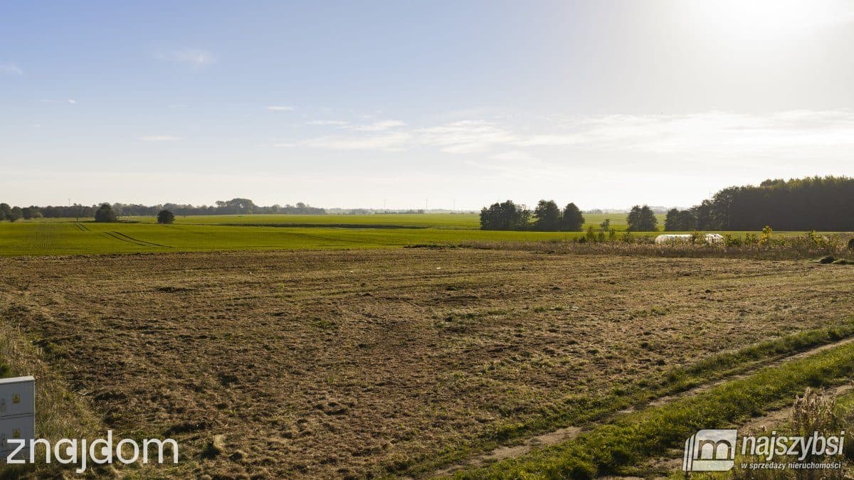 Działka, Czernin - zdjęcie 4