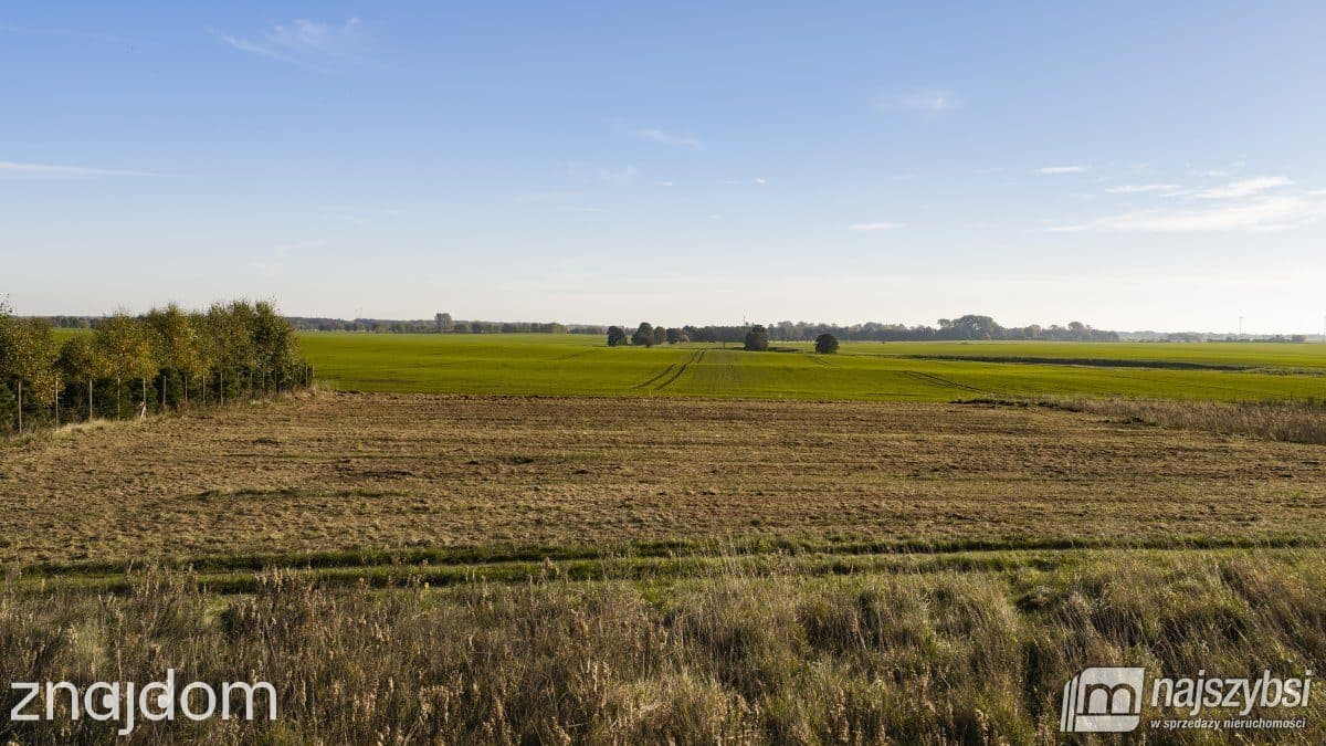 Działka, Czernin - zdjęcie 5