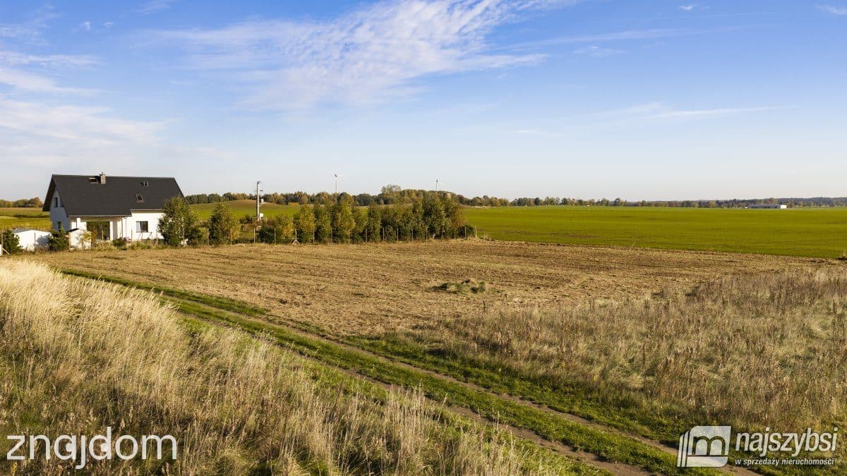 Działka, Czernin - zdjęcie 6