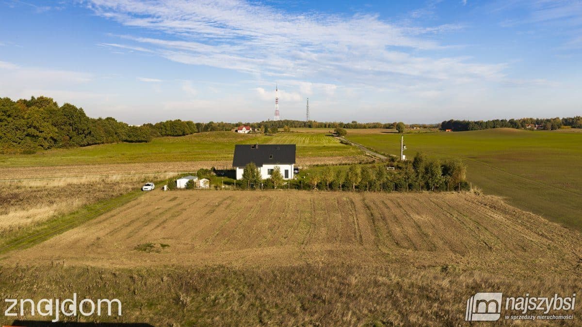 Działka, Czernin - zdjęcie 7