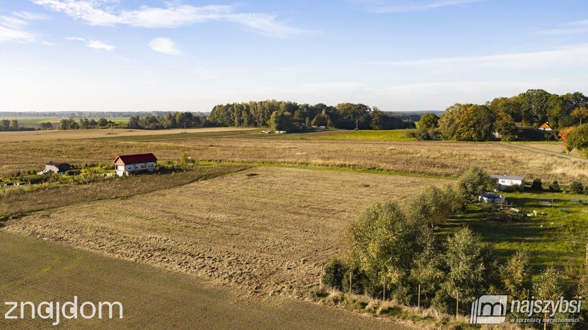 Działka, Czernin - zdjęcie 8