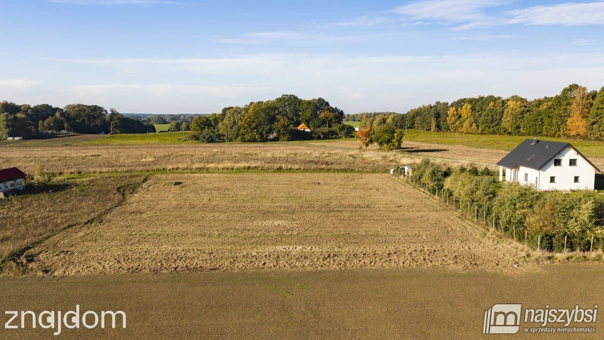 Działka, Czernin - zdjęcie 9