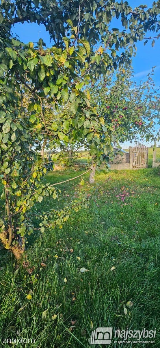 Mieszkanie, Węgorzyno - zdjęcie 19