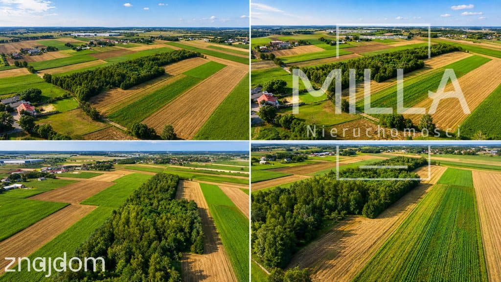 🌳 PRYWATNA OAZA ZIELENI W ZELGOSZCZY - zdjęcie 2