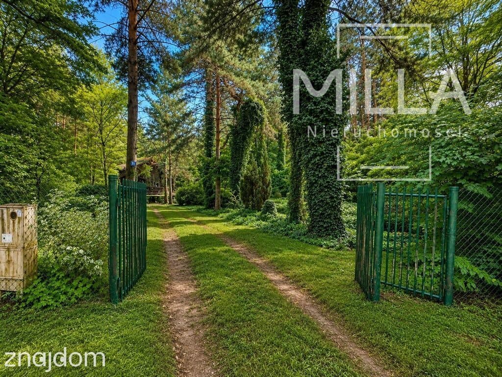 Leśne siedlisko z domkiem | 2361m2 | Gmina Zgierz - zdjęcie 3