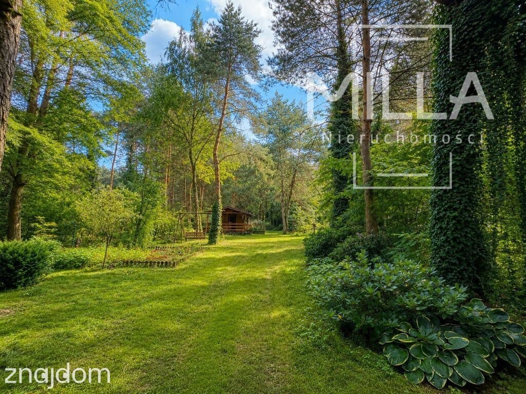 Leśne siedlisko z domkiem | 2361m2 | Gmina Zgierz - zdjęcie 2