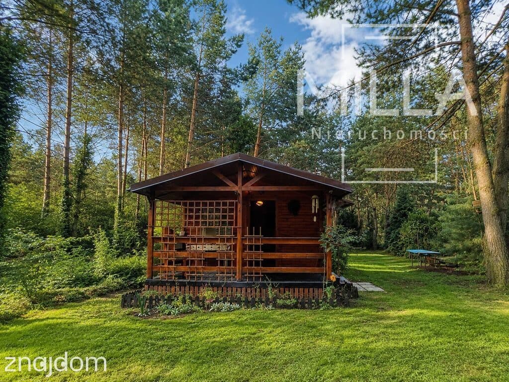 Leśne siedlisko z domkiem | 2361m2 | Gmina Zgierz