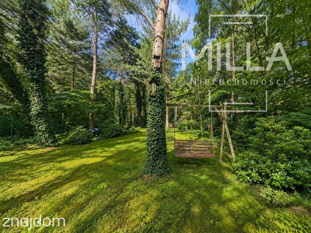 Leśne siedlisko z domkiem | 2361m2 | Gmina Zgierz - zdjęcie 4