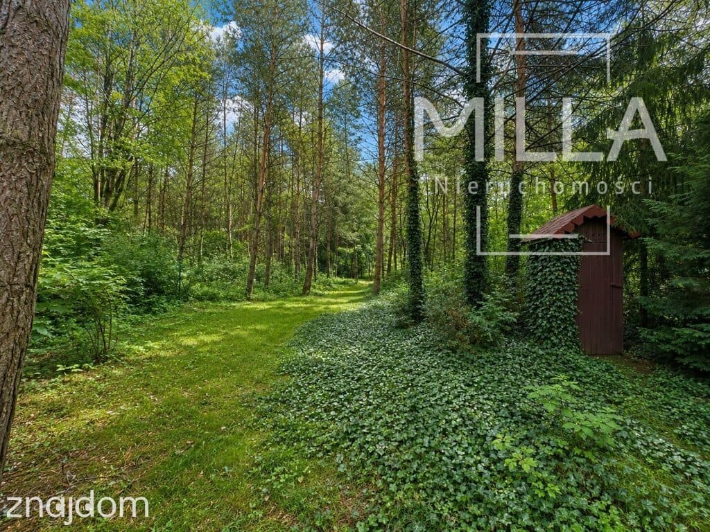 Leśne siedlisko z domkiem | 2361m2 | Gmina Zgierz - zdjęcie 6