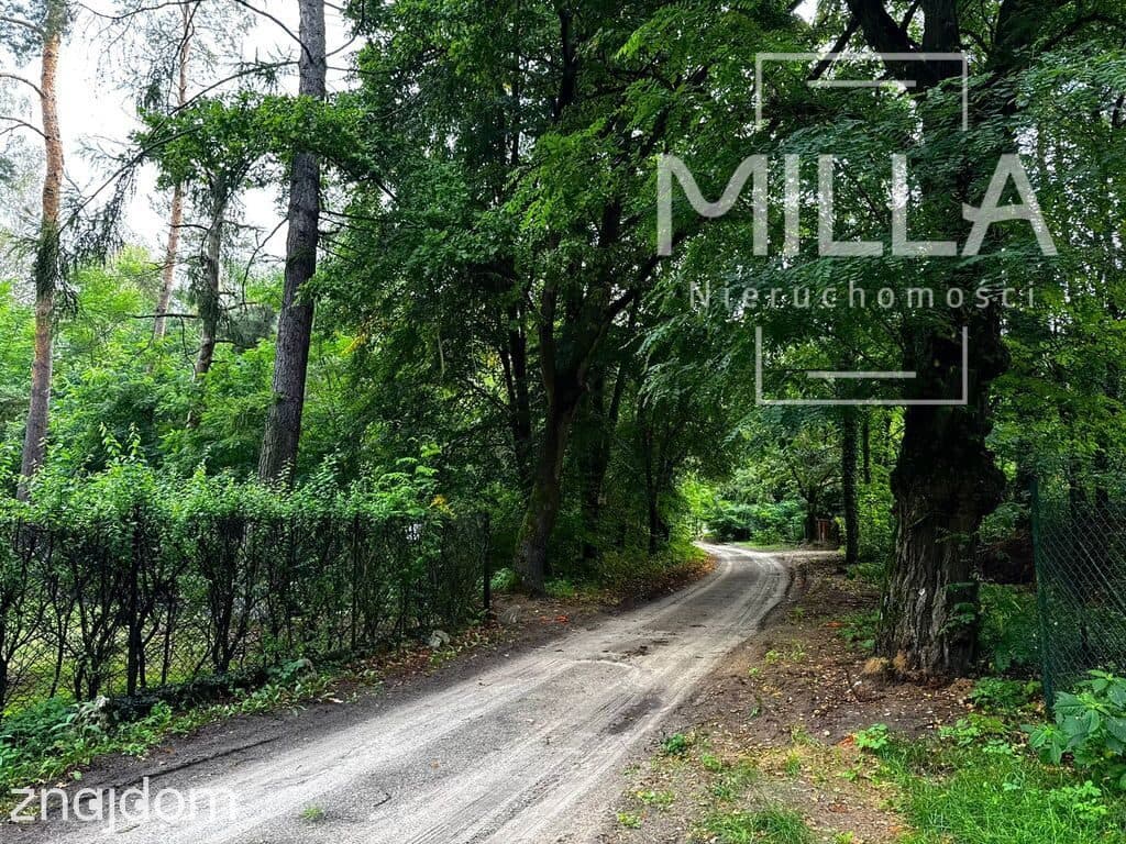 Leśne siedlisko z domkiem | 2361m2 | Gmina Zgierz - zdjęcie 7