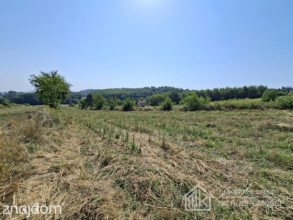 Bodzanów k. Wieliczki działka bud. 18a MN+40a R - zdjęcie 4