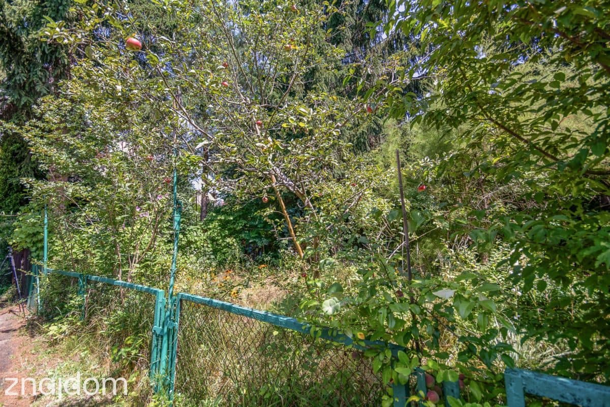 2 pok/osobna kuchnia/ogródek/Kromera/Korona - zdjęcie 10