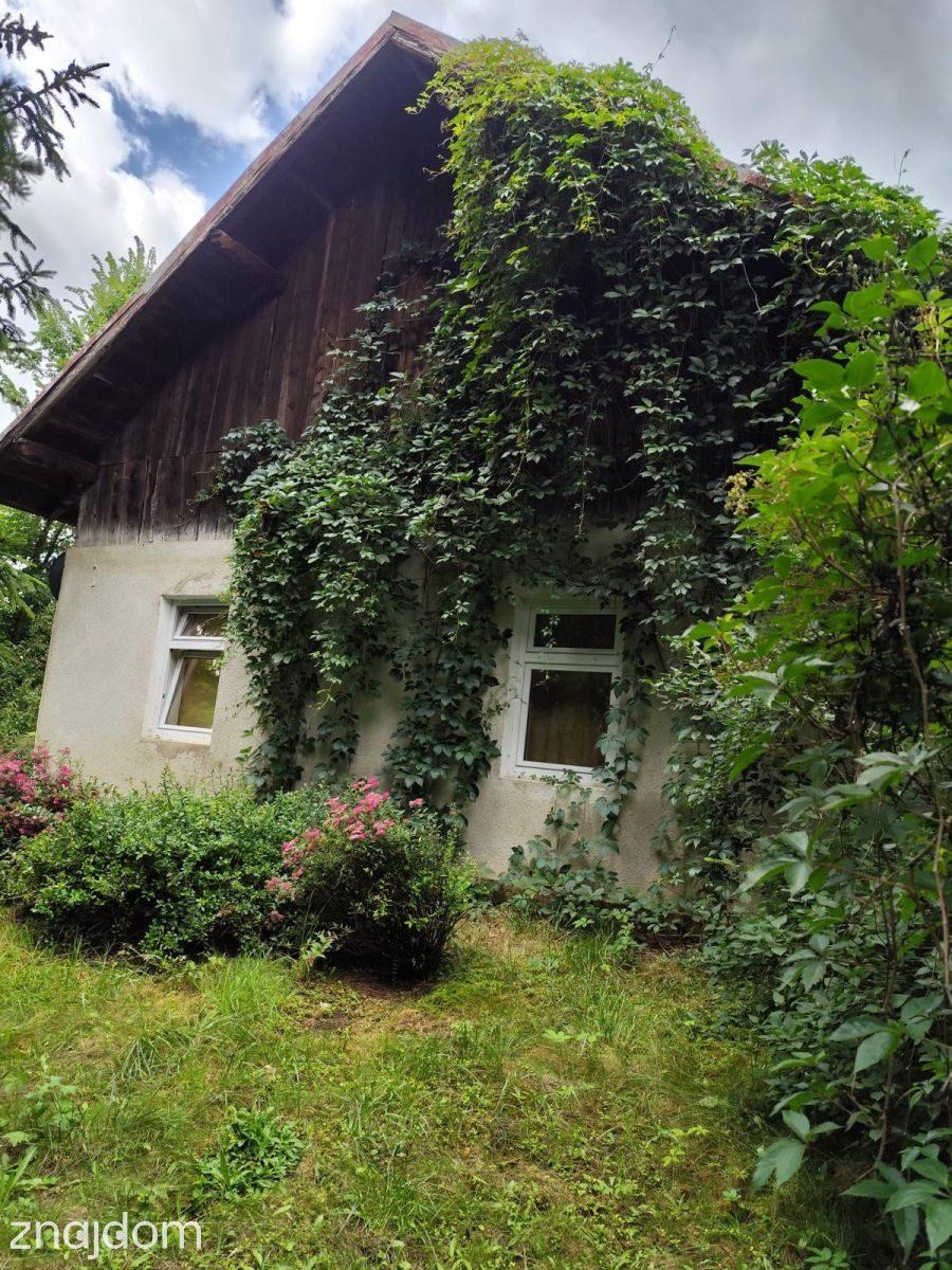 Siedlisko | działka 4600 m2 | ogród - zdjęcie 7