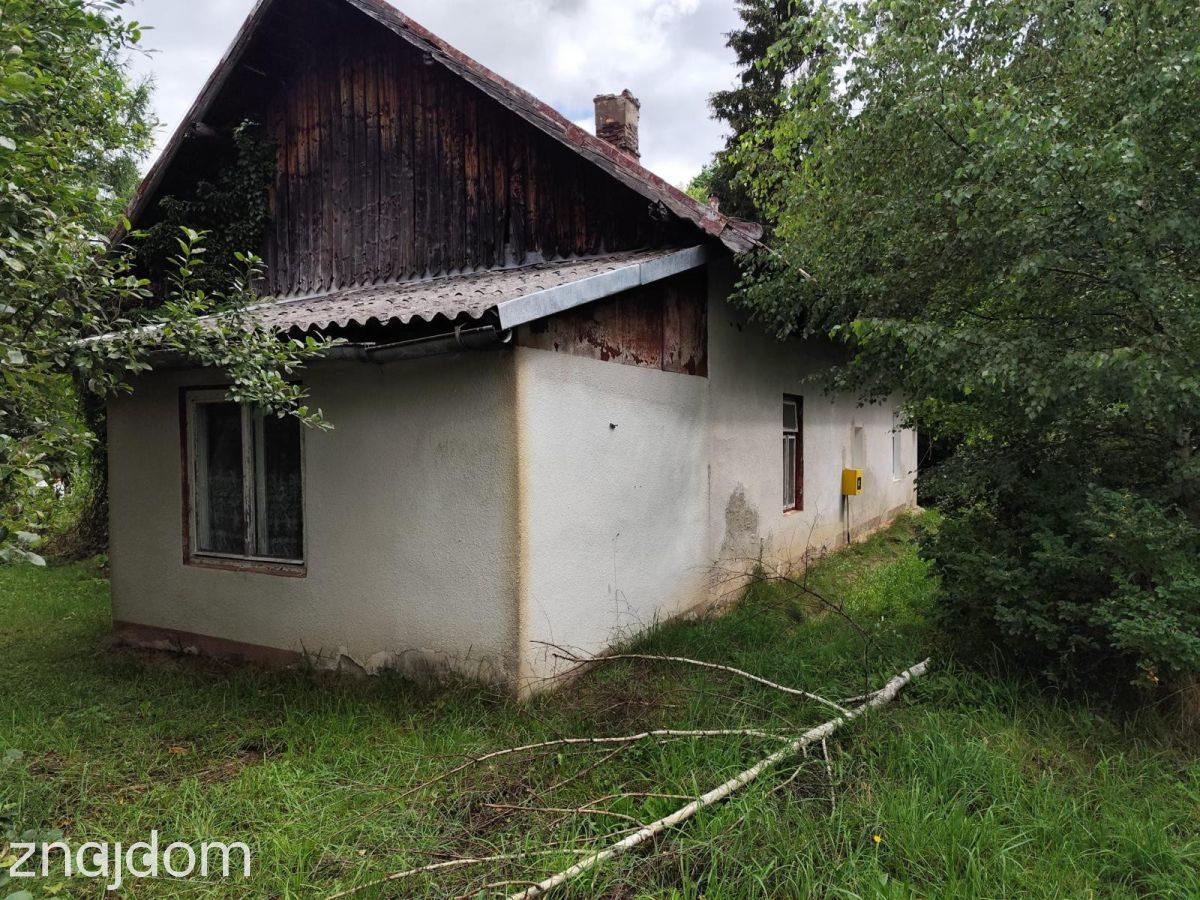 Siedlisko | działka 4600 m2 | ogród - zdjęcie 6