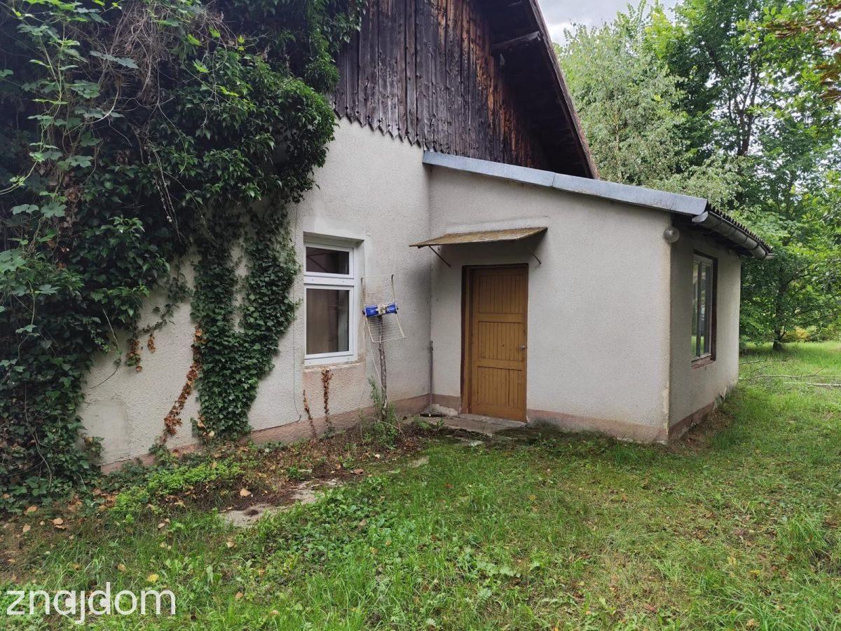 Siedlisko | działka 4600 m2 | ogród - zdjęcie 5